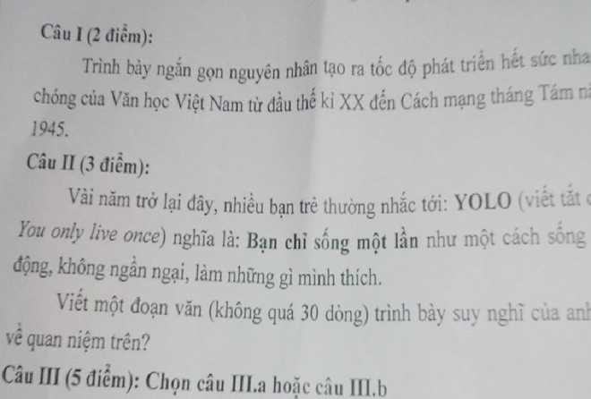 Những đề văn dậy sóng dân mạng năm 2013