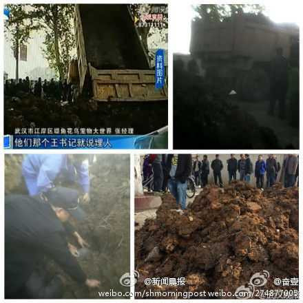 Rúng động vụ quan Trung Quốc chôn sống 5 người