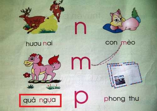 thùng giác, quả ngựa