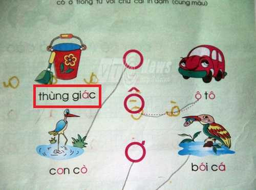 thùng giác, quả ngựa