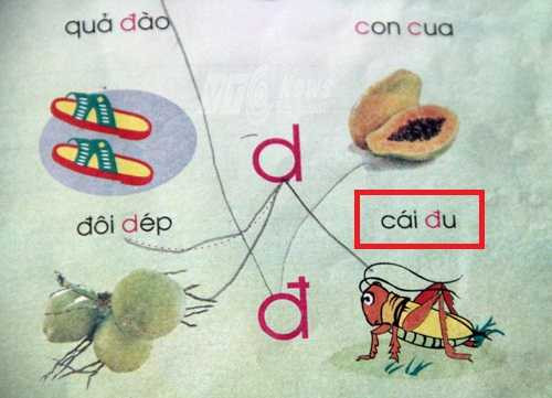 thùng giác, quả ngựa