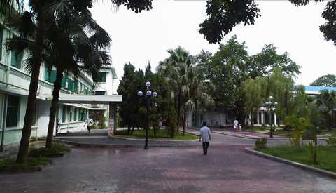 Bệnh viện Nhi Đức Hải Phòng, viêm tiểu phế quản, Sở Y tế Hải Phòng, cháu Lại Minh Ngọc