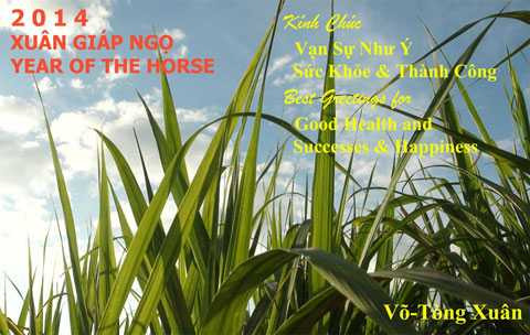 Tết dương lịch