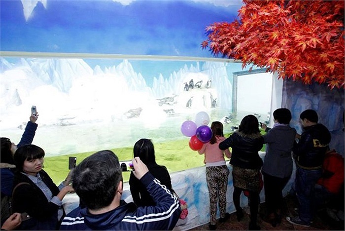  Vinpearl Aquarium Times City – Thủy cung hiện đại và lớn nhất Việt Nam (gần 4.000 m2).
