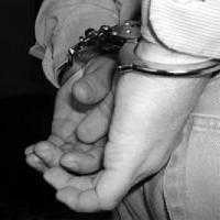 sui gia, hỗn chiến, thương vong