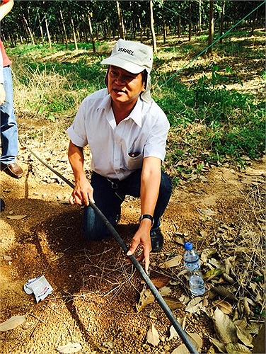 Ông Phan Thanh Thủ - Giám đốc Cao su Hoàng Anh Attapeu cho hay: Trung bình tại Attapeu tổng chi phí đầu tư cho 1ha cao su là 5.000 USD, trong đó riêng công nghệ tưới nhỏ giọt bù áp chiếm 1.000 USD.