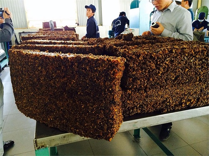 Bầu Đức bắt đầu đầu tư cây cao su ở Attapeu từ năm 2008, và kể từ giai đoạn này về sau, người ta nói rằng, bầu Đức chỉ việc ngồi đếm tiền do hiệu suất lợi nhuận từ cây cao su và mía đường rất lớn