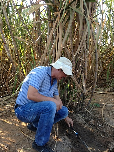 Với chiếc mũ tai bèo, tự lái xe đi vào những nơi khắc nghiệt nhất của nông trường, tìm hiểu từng khóm mía, kiểm tra công nghệ tưới, bầu Đức đã thực sự từ bỏ bất động sản để trở thành một 'đại gia nông dân'