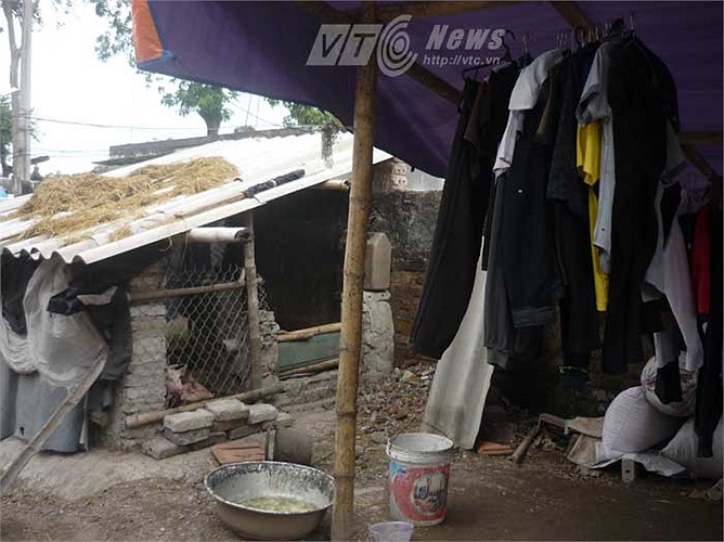 Một góc 'Khu liên hợp' có chuồng lợn, chuồng gà, phơi quần áo