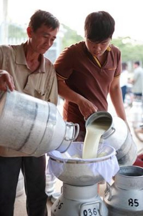 Tạo lập giá trị chung: Giải pháp phát triển bền vững và đổi mới nông thôn VN