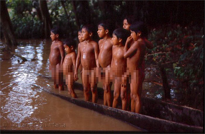 Nếu đàn ông là những thợ săn thiện nghệ, thì phụ nữ bộ tộc Huaorani lại là những cao thủ bắt cá.