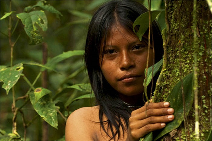 Người Huaorani có tính cộng đồng rất cao. Họ nghe lời người già. Lời của người già là tối thượng, cả cộng đồng phải nghe.