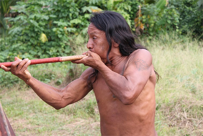 Từ hàng ngàn năm nay, họ vẫn sử dụng những chiếc ống đồng và phi tiêu tẩm độc để săn thú rừng. 