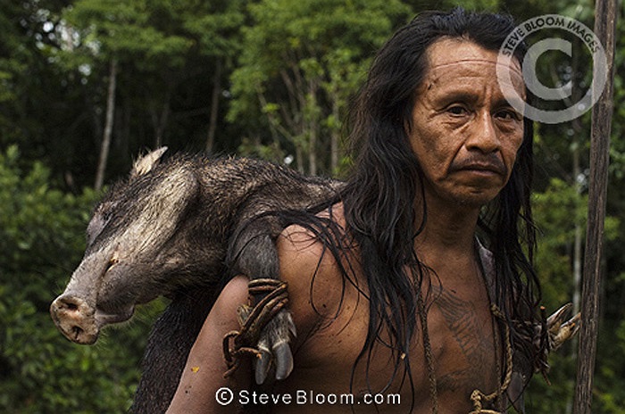 Nếu ai dùng thương phóng chết con thú, thì người đó sẽ được tôn vinh và được thưởng thức thứ quý nhất của con thú, là bộ óc và đôi mắt.