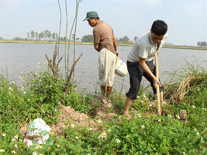 Ở xã Nghĩa Trụ (Văn Giang, Hưng Yên), ngôi làng ngay cạnh Hà Nội, người dân quanh năm suốt tháng săn chuột đồng để ăn. Chuột đồng là món đặc sản của người dân nơi đây.