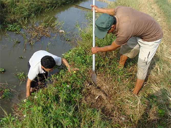Mùa đông, lúa đã gặt xong, những chú chuột béo núc ních từ cánh đồng đã trốn vào hang động ở các bờ mương. Chính vì vậy, đây cũng là mùa dễ săn chuột đồng nhất.