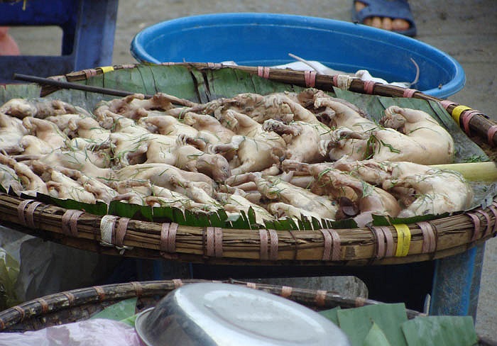 Món chuột hấp lá chanh là đặc sản được ưa thích ở Nghĩa Trụ. Những mẹt chuột hấp lá chanh dậy mùi khiến ai đi qua cũng thèm muốn. Cả chục mẹt chuột hấp lá chanh hấp dẫn sẽ được mua hết nhanh chóng, dù giá khá đắt, 200 ngàn/kg. 