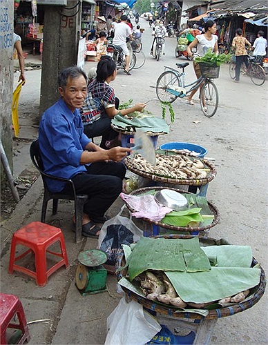 Thú vị chuyện cả làng săn chuột đồng ở Hưng Yên