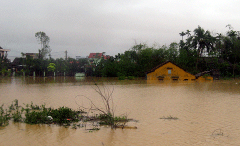 Quảng Nam, miền Trung, lũ, thiệt hại, thủy điện, đền bù