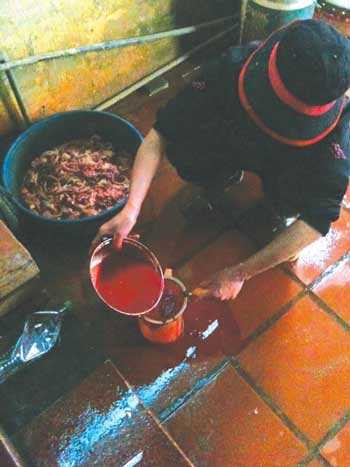 Những quán vịt nướng, tiết canh ở Vân Đình, Hà Nội vẫn đắt khách trong mùa dịch cúm.