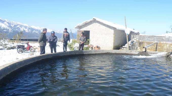 Tuyết vẫn phủ đầy, bà con Sapa, Bát Xát xót lòng vì thiệt hại