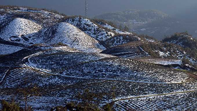 Tuyết vẫn phủ đầy, bà con Sapa, Bát Xát xót lòng vì thiệt hại