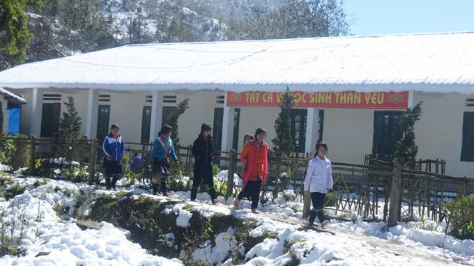 Tuyết vẫn phủ đầy, bà con Sapa, Bát Xát xót lòng vì thiệt hại