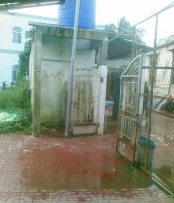 Tỷ phú trúng số độc đắc... giữ nhà vệ sinh