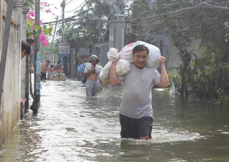 vỡ ờ bao, triều cường