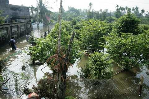 vỡ ờ bao, triều cường