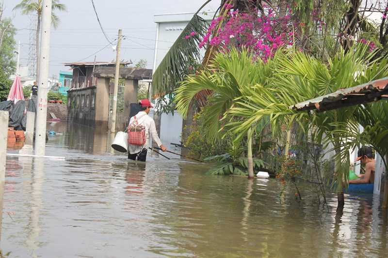 vỡ ờ bao, triều cường