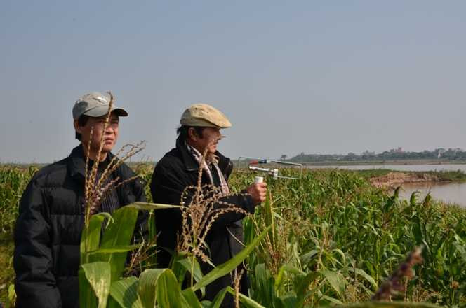  Vị trí được xác định cho là nhiều khả năng nhất, chếch 15 độ nhìn từ miếu xuống.