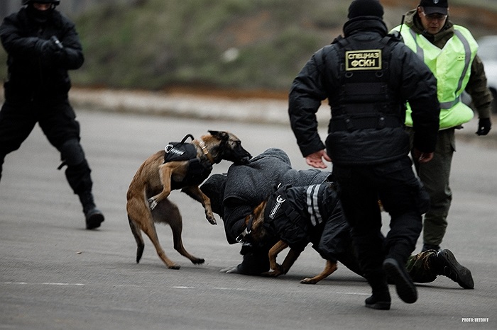 Tấn công kẻ bắt cóc con tin