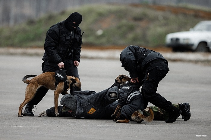 Khống chế cho đến khi nhận lệnh mới nhả ra