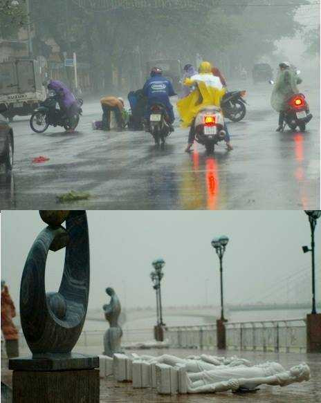 bão số 11, đà nẵng