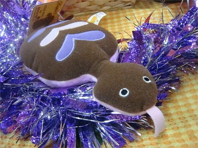 Cũng có giả thuyết rằng Tsuchinoko là một sự nhầm lẫn với một số loài bò sát có hình dạng gần giống, ví dụ như loài trăn cộc có thân hình béo tròn và ngắn cũn như trong ảnh. 