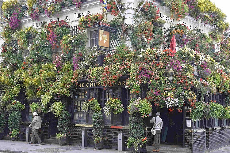 Một quán rượu mang tên Churchill Arms tại London với hàng trăm chậu hoa treo khắp phía bên ngoài