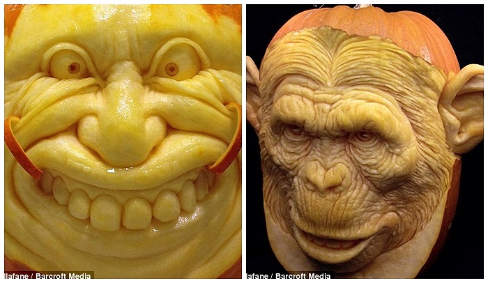 Việc lựa chọn bí ngô không hề đơn giản khi trong 50 quả, các nghệ sĩ tài ba chỉ chọn được 1 quả để điêu khắc.