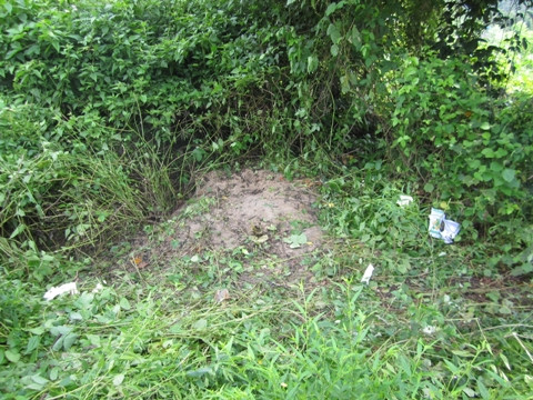 TP.HCM, Bà Rịa Vũng Tàu, giết người, Lâm Đồng, dao, Thái Lan.