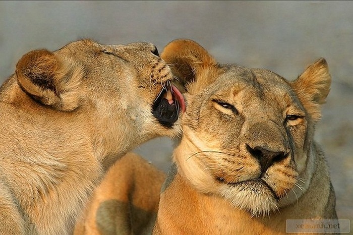 Hang động này vẫn còn tồn tại tới tận ngày nay. Mặc dù rất nhiều xương người đã được khai quật nhưng người ta vẫn tin rằng còn nhiều nữa mà con người chưa tìm thấy