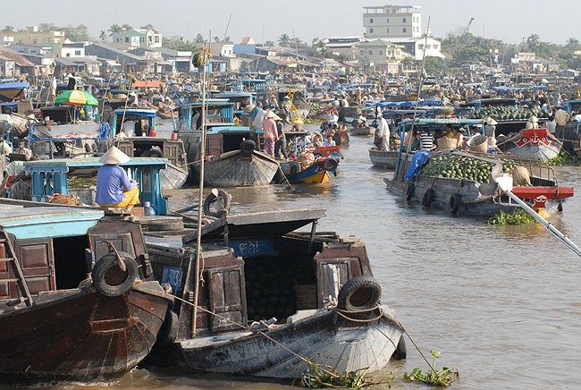 Đa phần các phương tiện tại chợ nổi là xuồng, ghe. Họ đến từ khắp nơi tụ về đây thành một khu chợ dài hàng cây số. Đặc biệt, trong những ngày tết, chợ nổi trên sông càng náo nhiệt hơn với xuồng ghe tấp nập tụ về để trao đồi hàng hóa. 