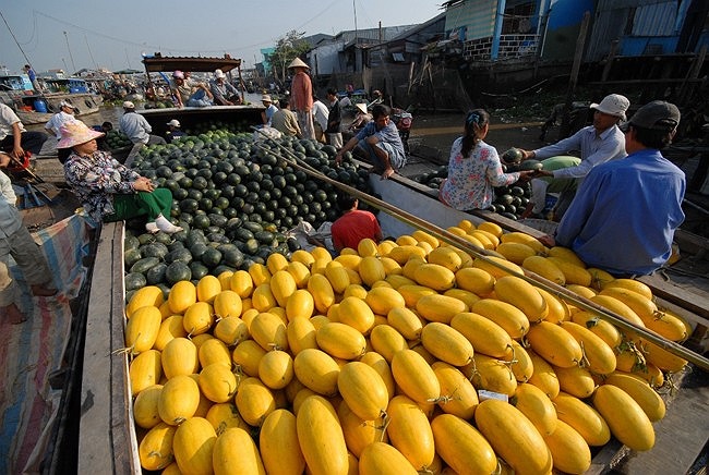 Sức hút của chợ nổi đối với thập khách chính là giữ gìn, phát huy được nét đặc trưng vùng sông nước và sự tươi ngon của hàng hóa nơi đây.