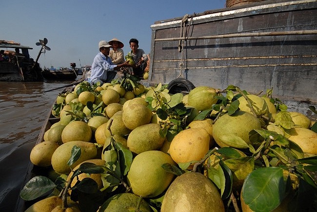 Không chỉ giữ gìn được nét đẹp văn hóa vùng sông nước, ngày nay chợ nổi như một điểm du lịch hấp dẫn mà du khách, đặc biệt là người nước ngoài thích khám phá và trải nghiệm.Cứ năm chiếc xuồng vào chợ thì có đến bốn chiếc chở người ngoại quốc. 
