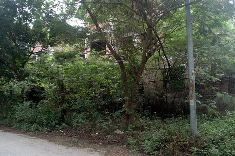 Hai bên đường vào khu biệt thự hun hút, hoang lạnh, với cây cối rậm rạp như ở trong rừng già