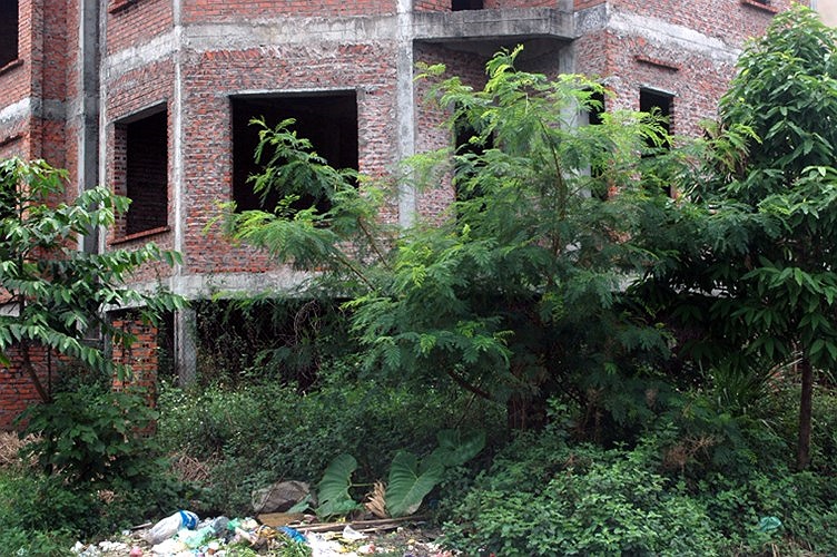 Mỗi căn biệt thư có hàng rào sắt nhưng lâu ngày, thay vào đó là cây khô dễ gẫy. 