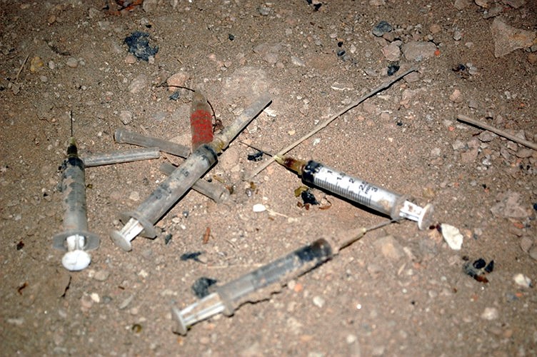 Tấm biển phân lô khu biệt thự bị cây xanh, cỏ dại chen lấp... 