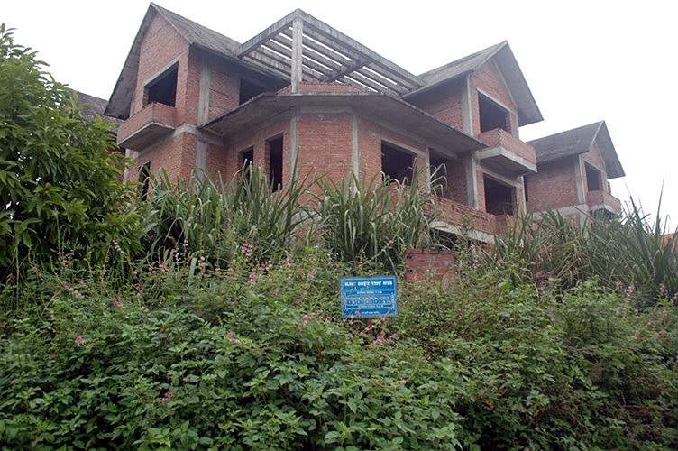 Bên trong nhan nhản kim tiêm 