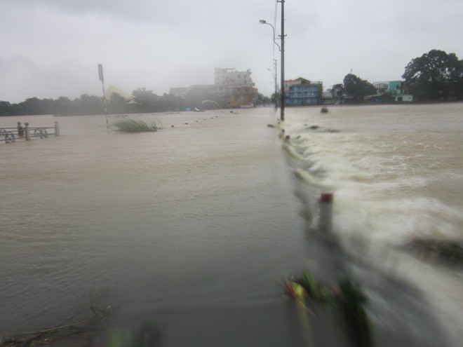 bão số 11, bão Nari, bão đổ bộ miền Trung, Quảng Nam, Đà Nẵng, Thừa Thiên - Huế