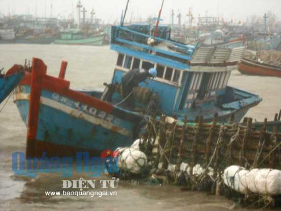 Cập nhật: Tin mới nhất về cơn bão số 11