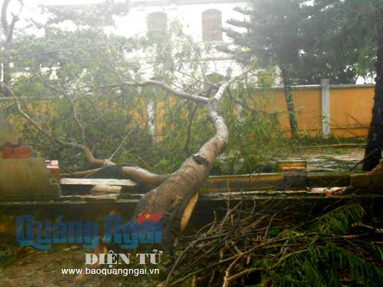 Cập nhật: Tin mới nhất về cơn bão số 11